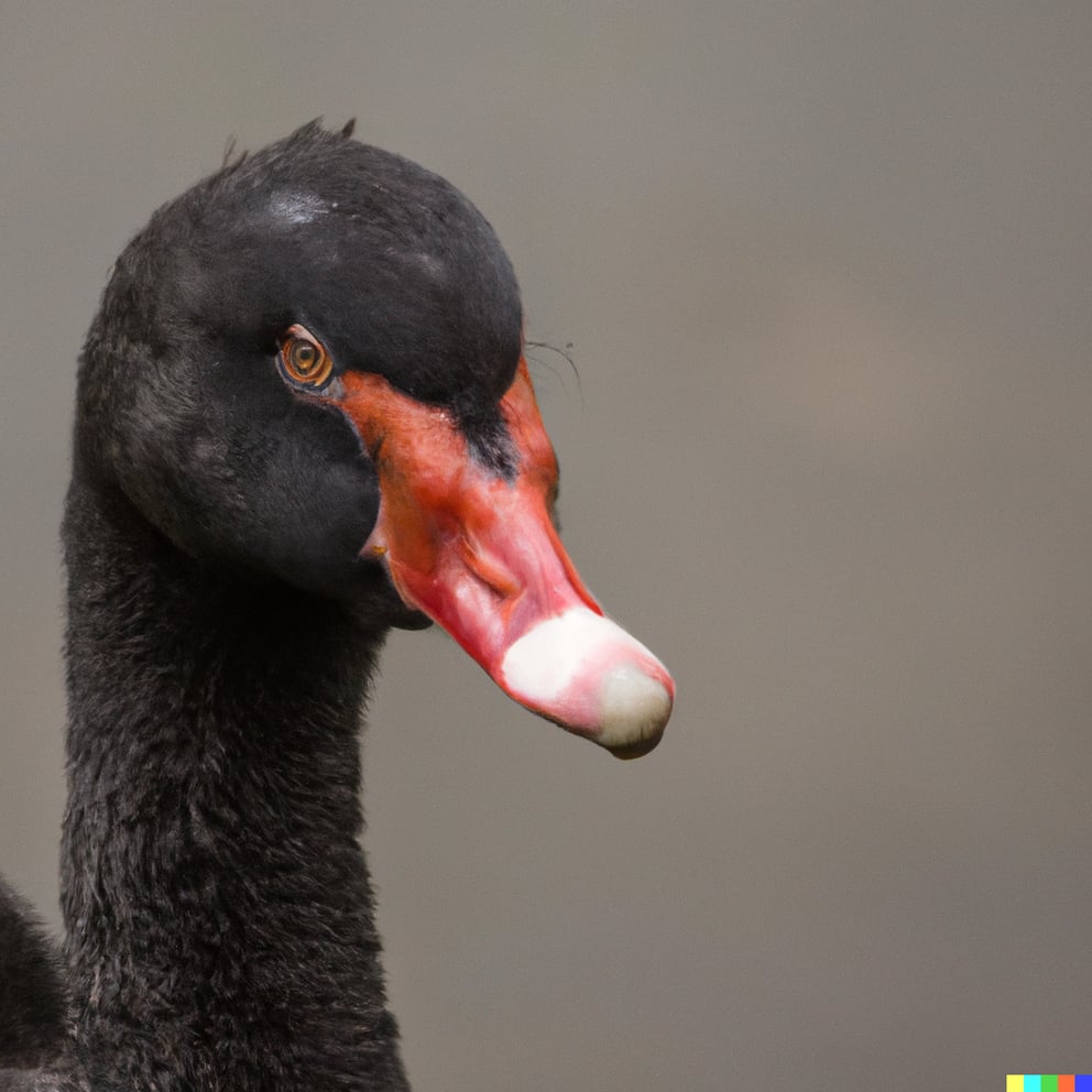 3 Ways to Negotiate Like a Black Swan