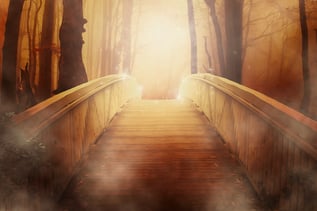 bridge-path.jpg