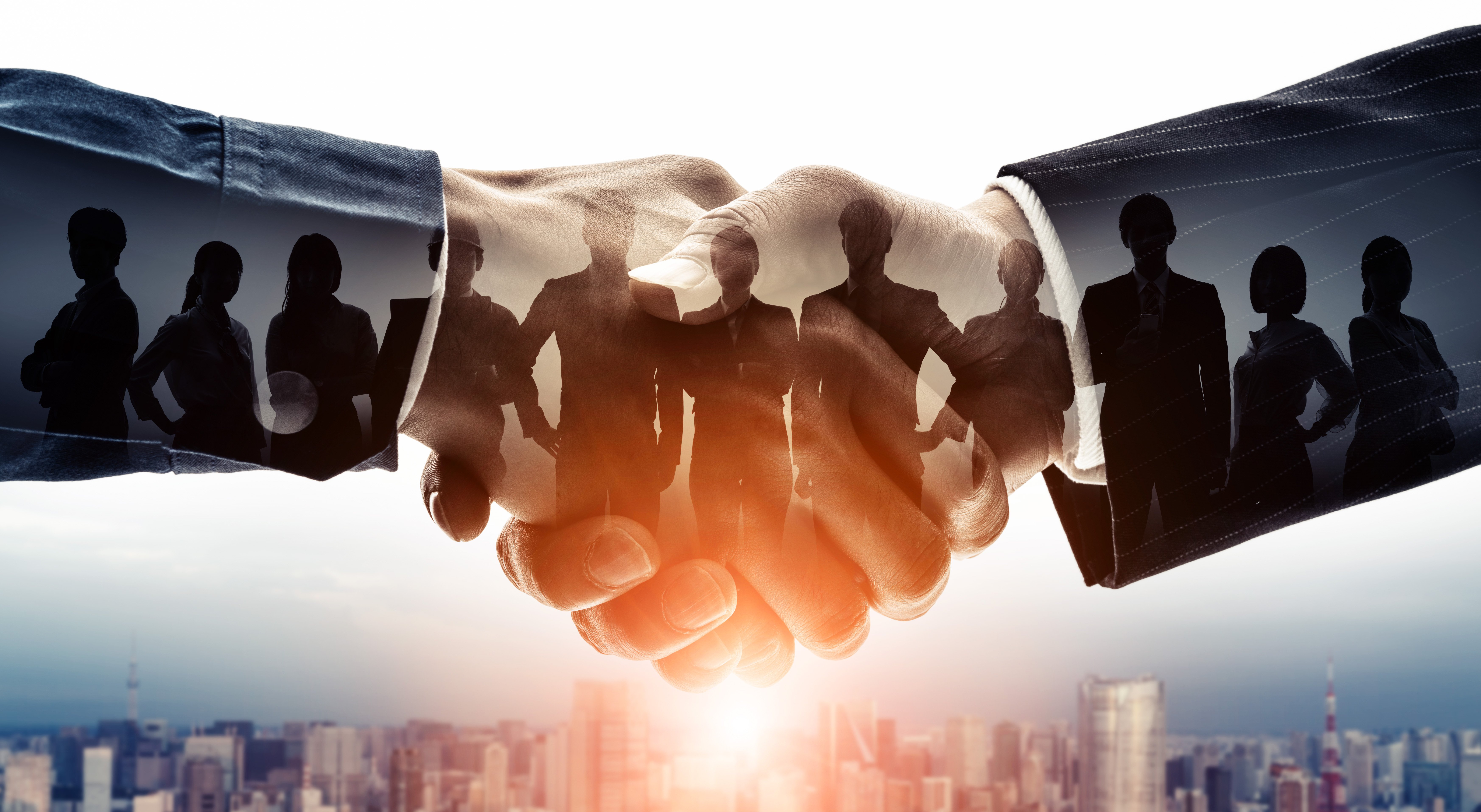 What is Black Swan Group's Negotiation 9™ (N9™)